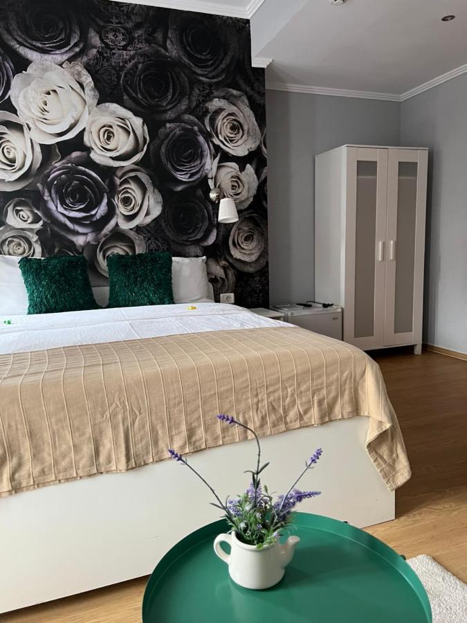 Haţeg Artmotel & Bistro מראה חיצוני תמונה