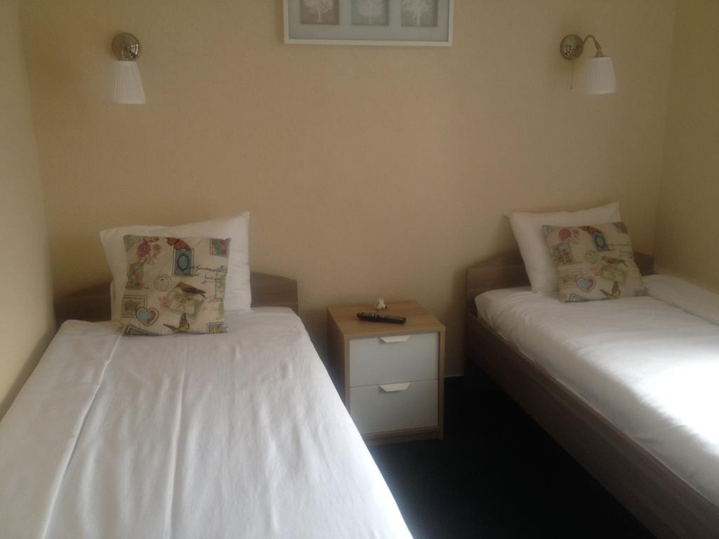 Haţeg Artmotel & Bistro חדר תמונה